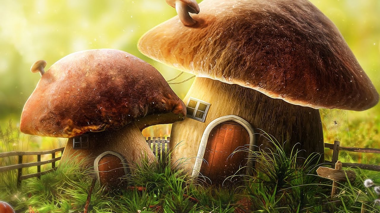 Fantasy Music &ndash; Gnomes and Mushrooms | Happy, Cheerful