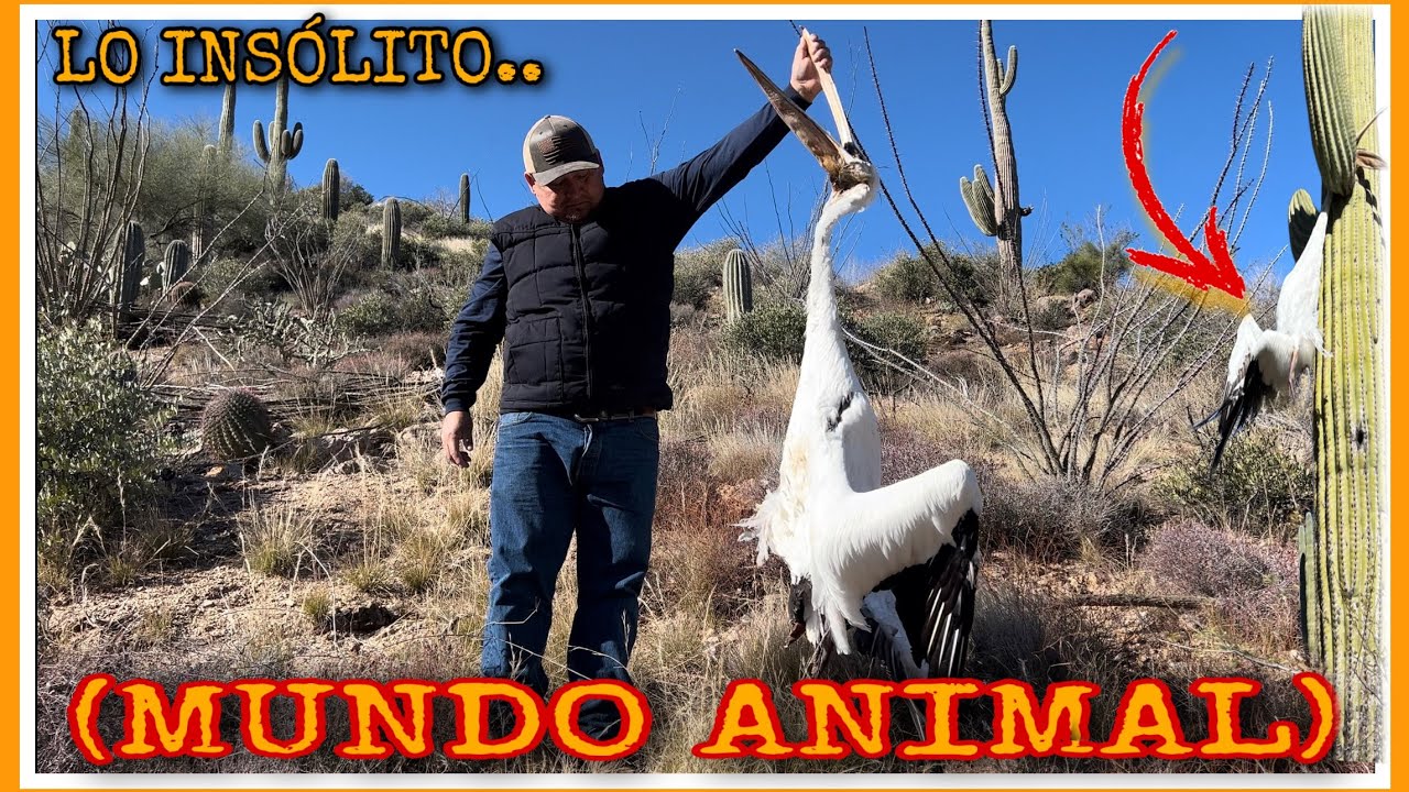 AVENTURA 350 CAMINANDO POR LAS HUELLAS DEL PASADO PARTE 1