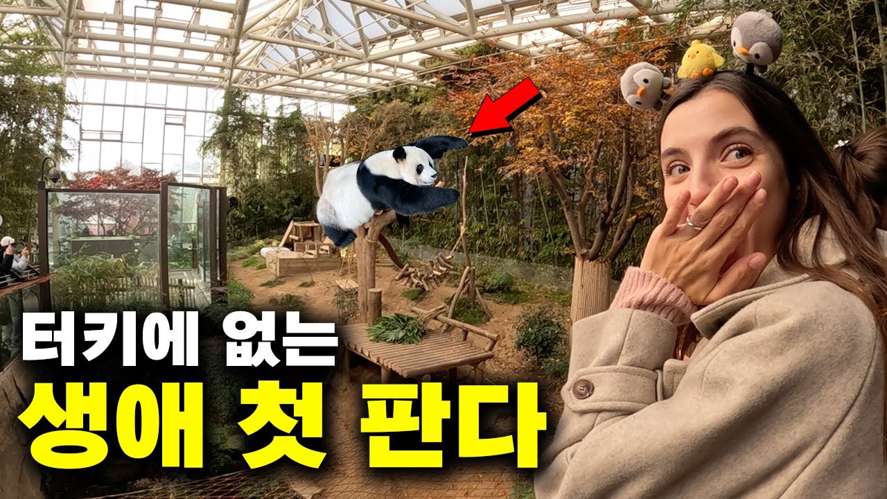 생애 첫 판다를 보려고 에버랜드까지 온 슬비 feat.푸바오