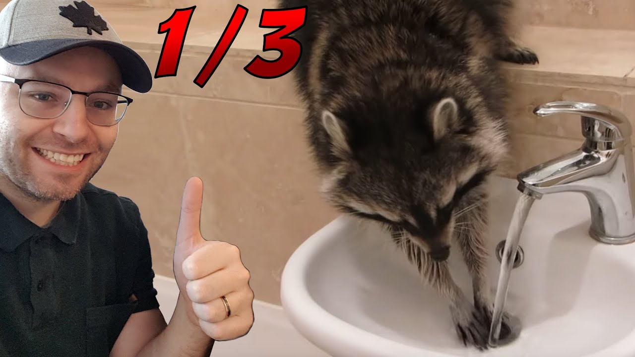 Northernlion Incessantly Tells You to Wash Your Hands - Part 1/3