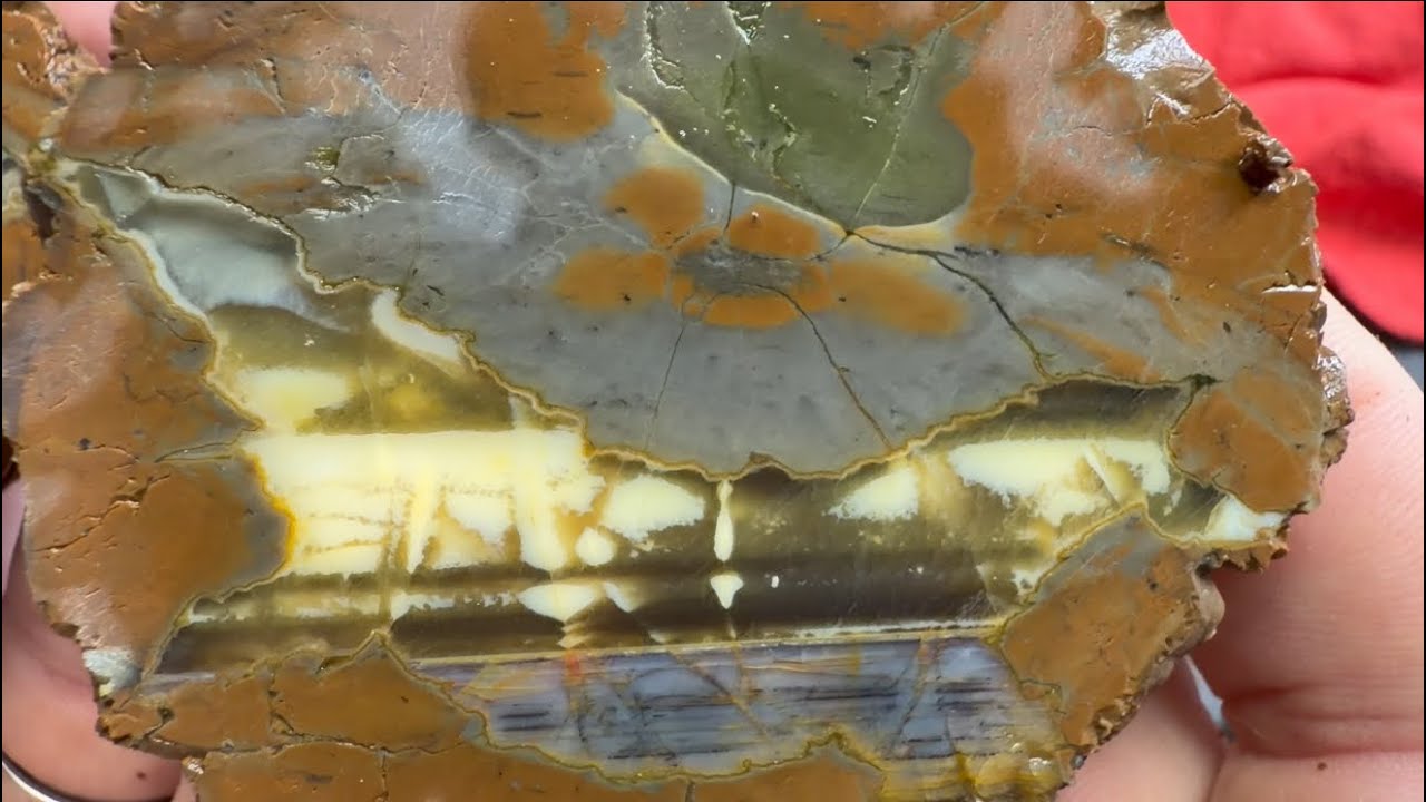 Cut 4 thundereggs from @wildheartcreations. Not 1 dud ! #teamrockit #rockcutting #thunderegg 