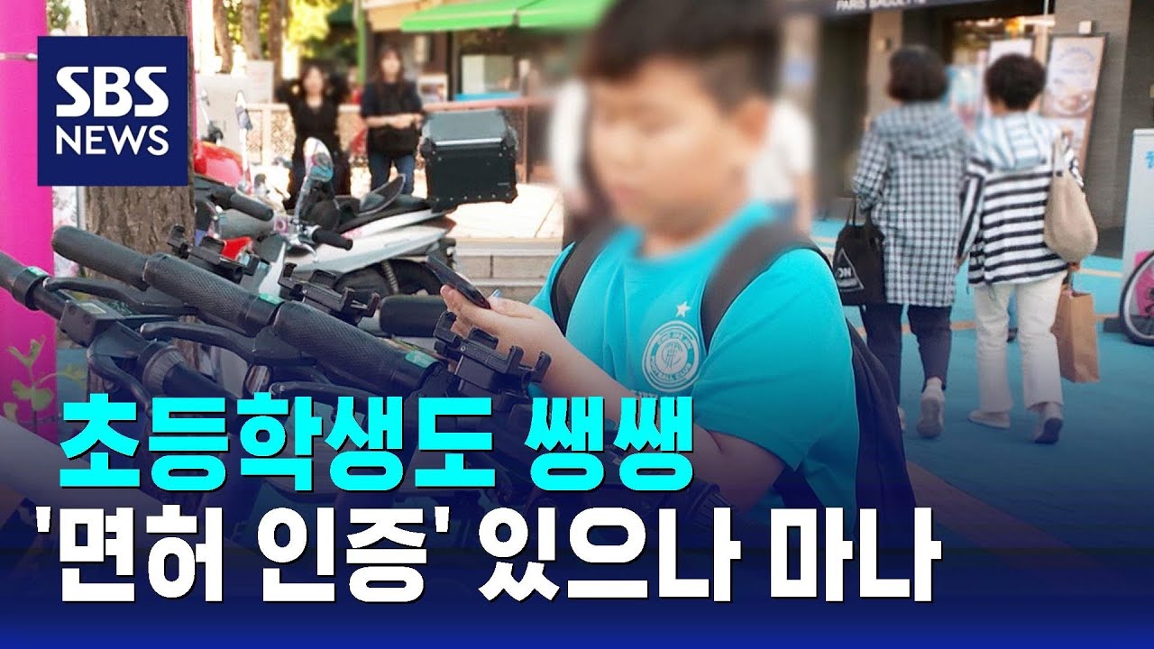 초등학생도 쌩쌩…전동킥보드 '면허 인증' 있으나 마나 / SBS