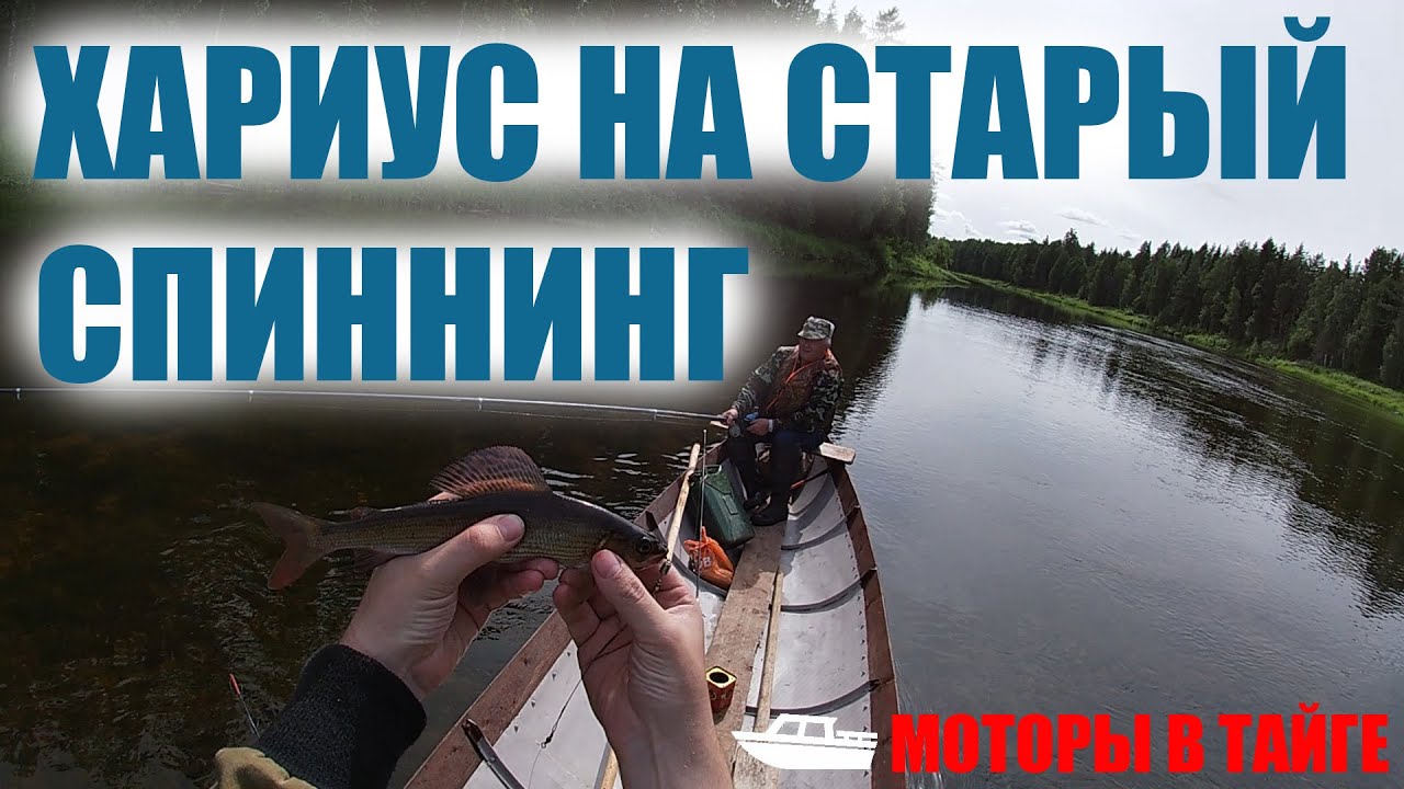 Хариус из кристально чистой реки | Самодельная лодка для мелких рек | Ветерок 8 | Изба синева