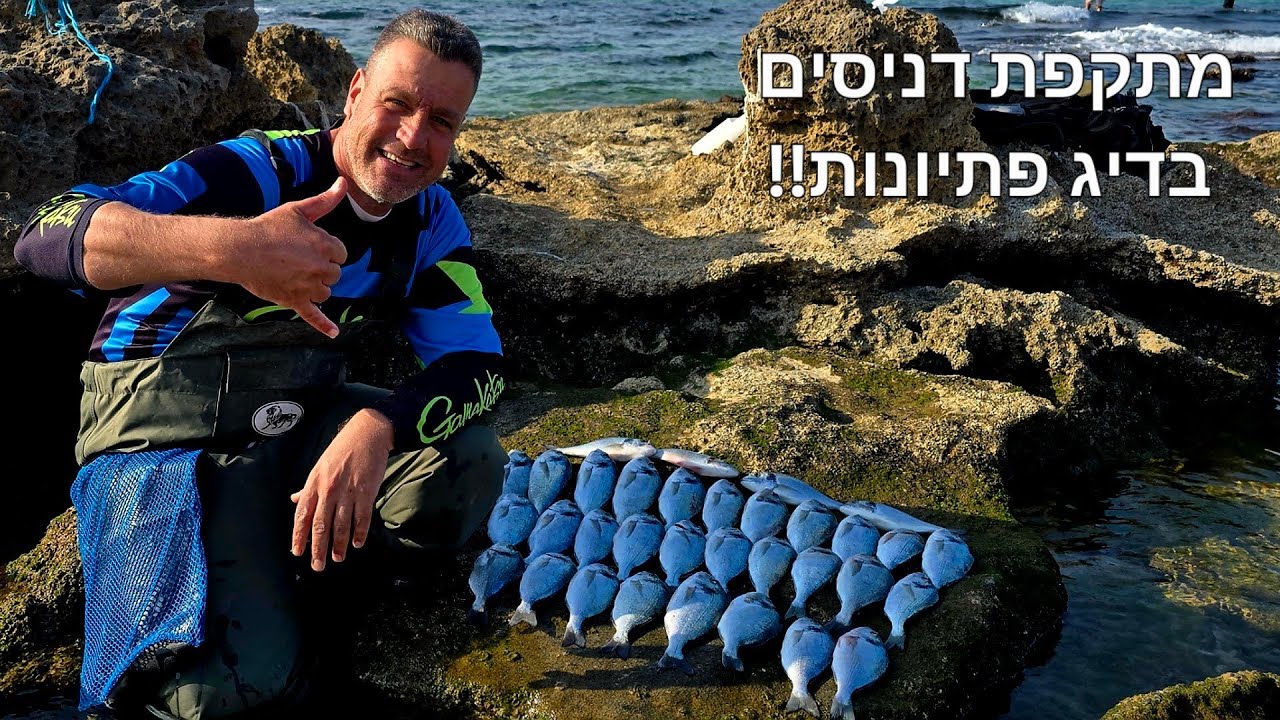 דיג-ליאור גכמן מתקפת דניסים בדיג פתיונות!! הם עדיין כאן, ואגרסיביים מאי פעם!! אחד הימים החזקים!!