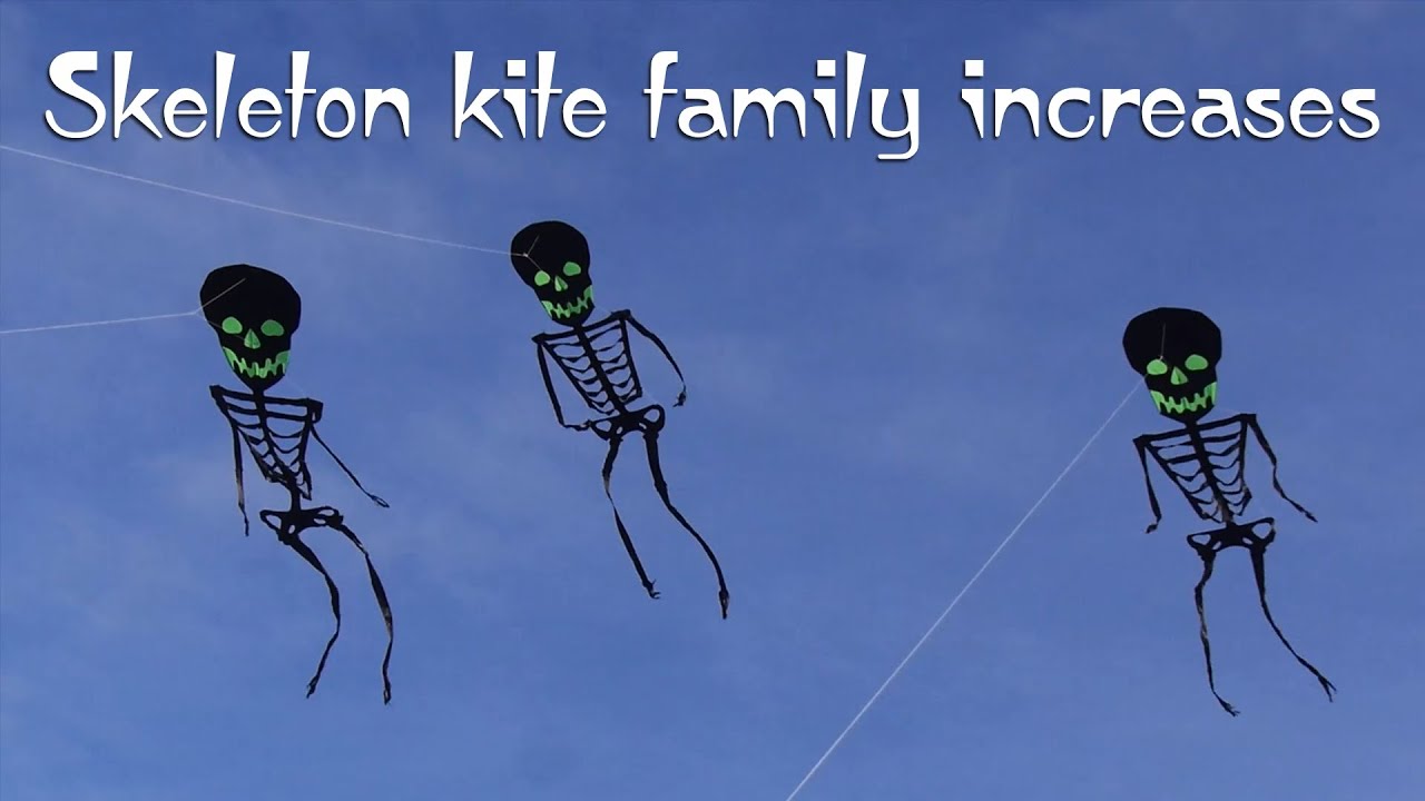 Skeleton kite family increases