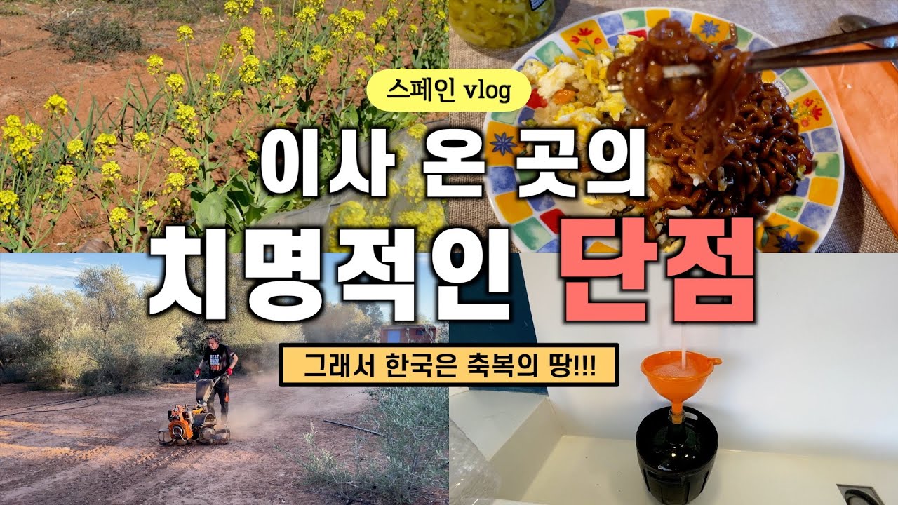 스페인 이사 온 곳의 치명적인 단점~ 지금까지 어떻게 살았는지... 😅 한국은 축복받은 곳