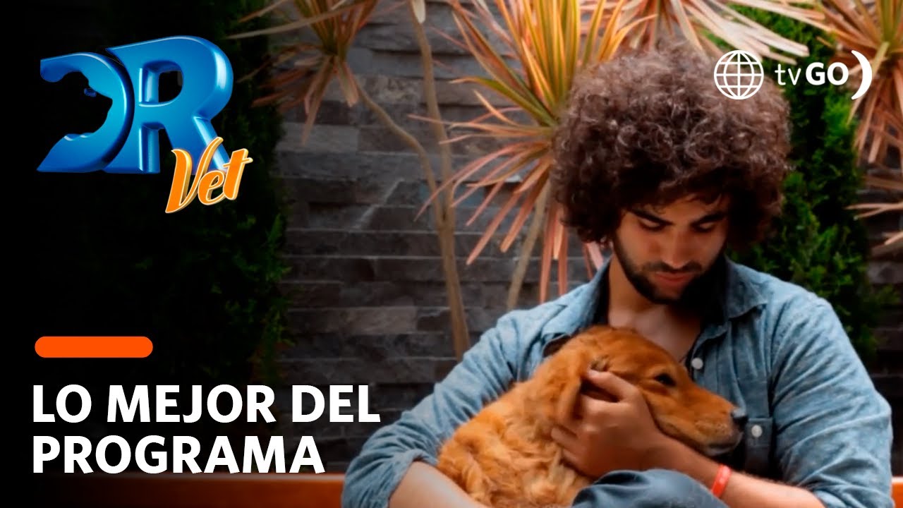 Dr. Vet: Stefano Salvini y su perro de raza 