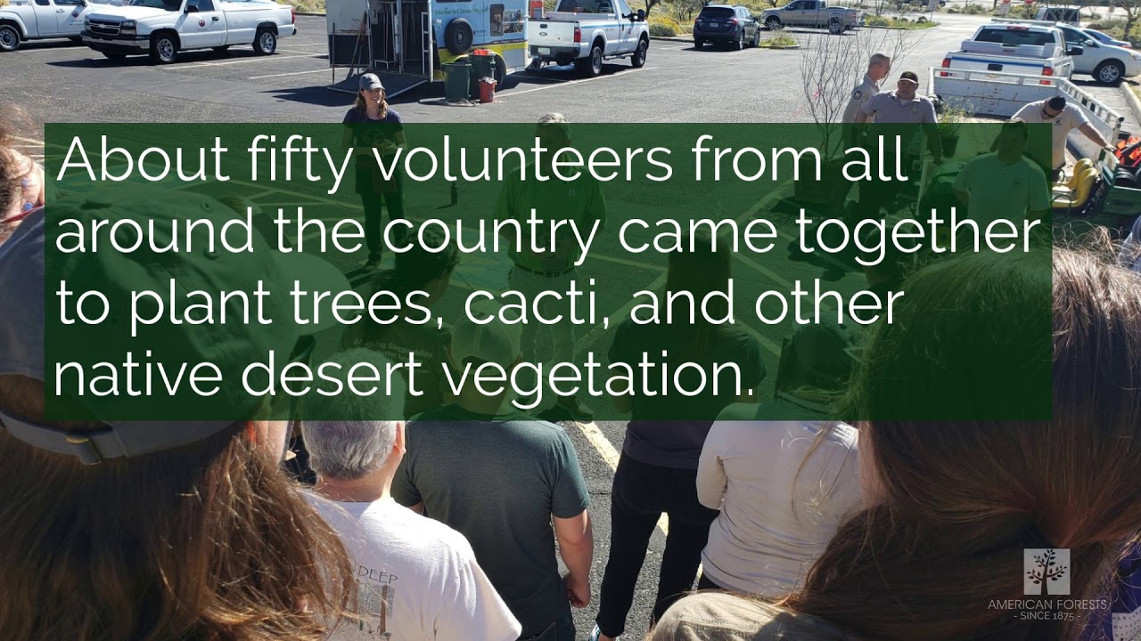 HIGHLIGHTS: Desert Restoration February 26, 2019 Phoenix Arizona