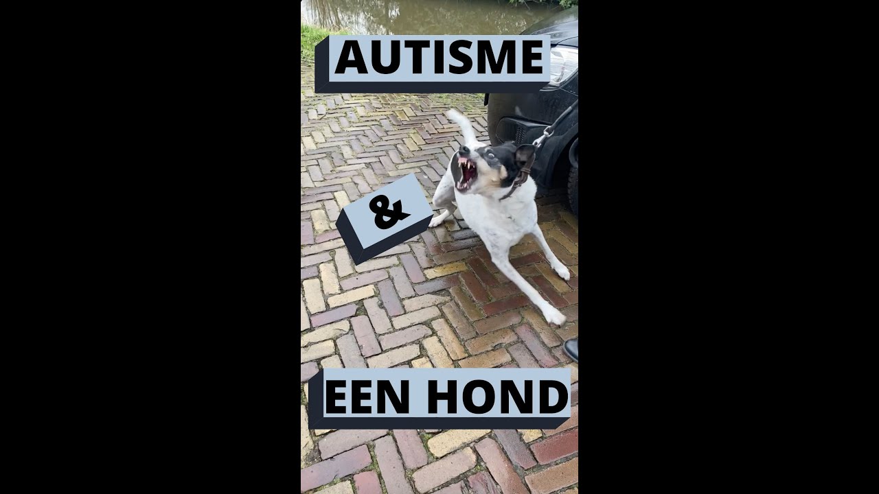 UITVALLENDE HOND EN AUTISME - Hondencoach Leidy Zijlstra ervaring