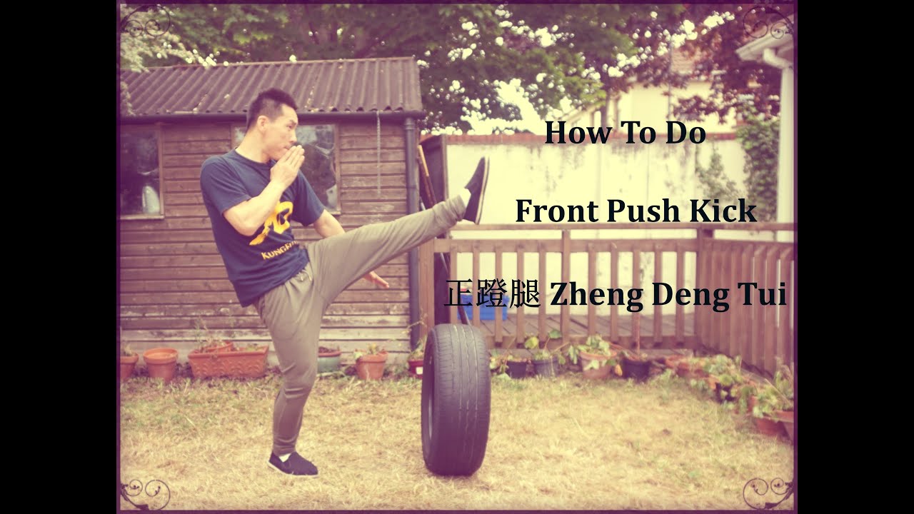 How To Do Kung Fu Front Push Kick for Beginners - Master Yan Xin