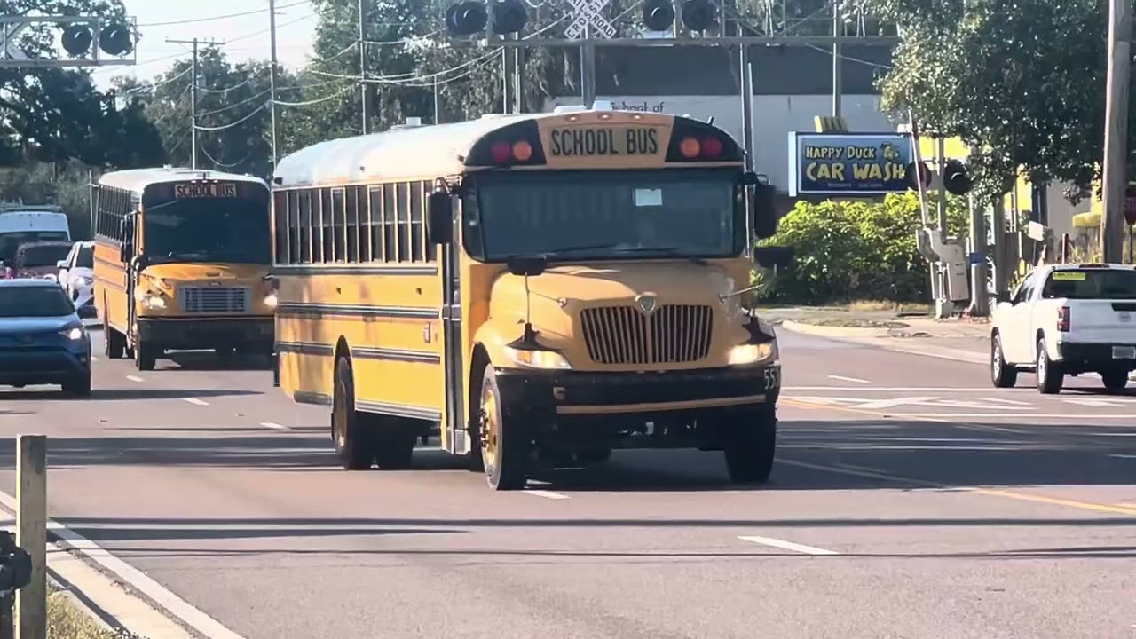 Three School Buses go by Seffner, FL