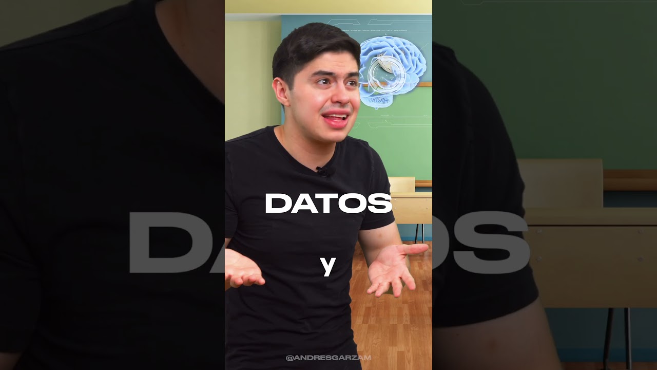 ¿Las Calificaciones Importan? 🏫 