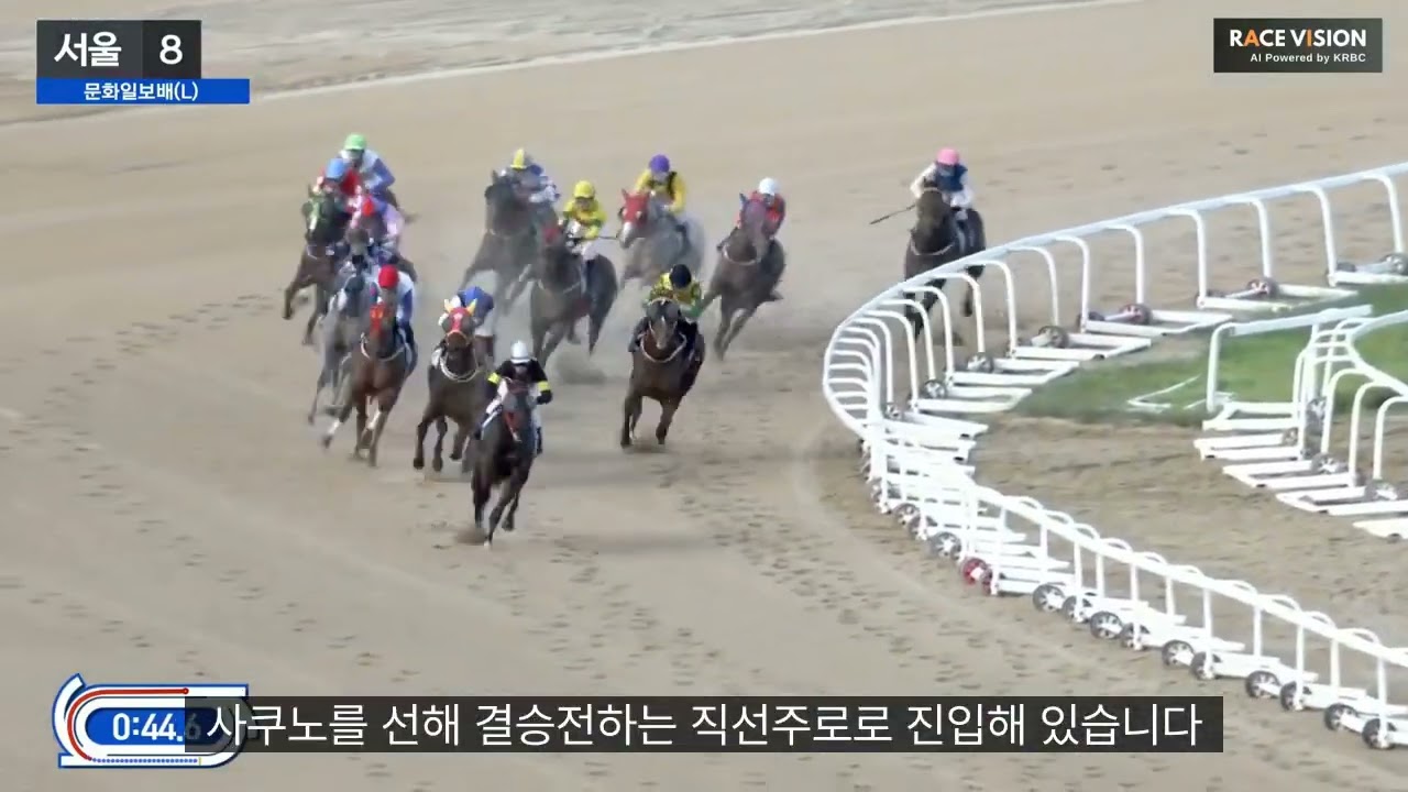 문화 일보배  무제한급 승