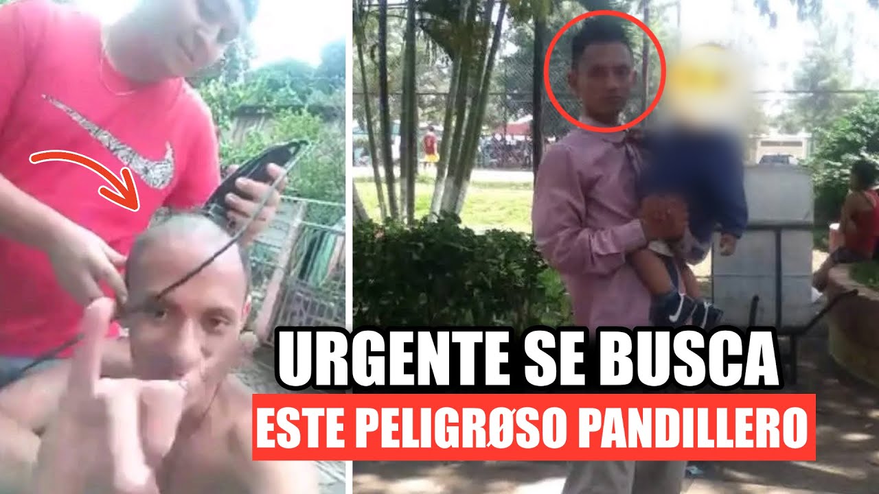 PANDILLERO SUELTO SE BUSCA, según está ESCONDIDO donde sus PAPÁS