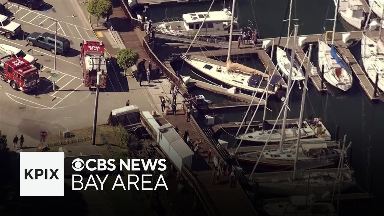 Watch: Scene of water rescue at Sausalito harbor after car drives off pier