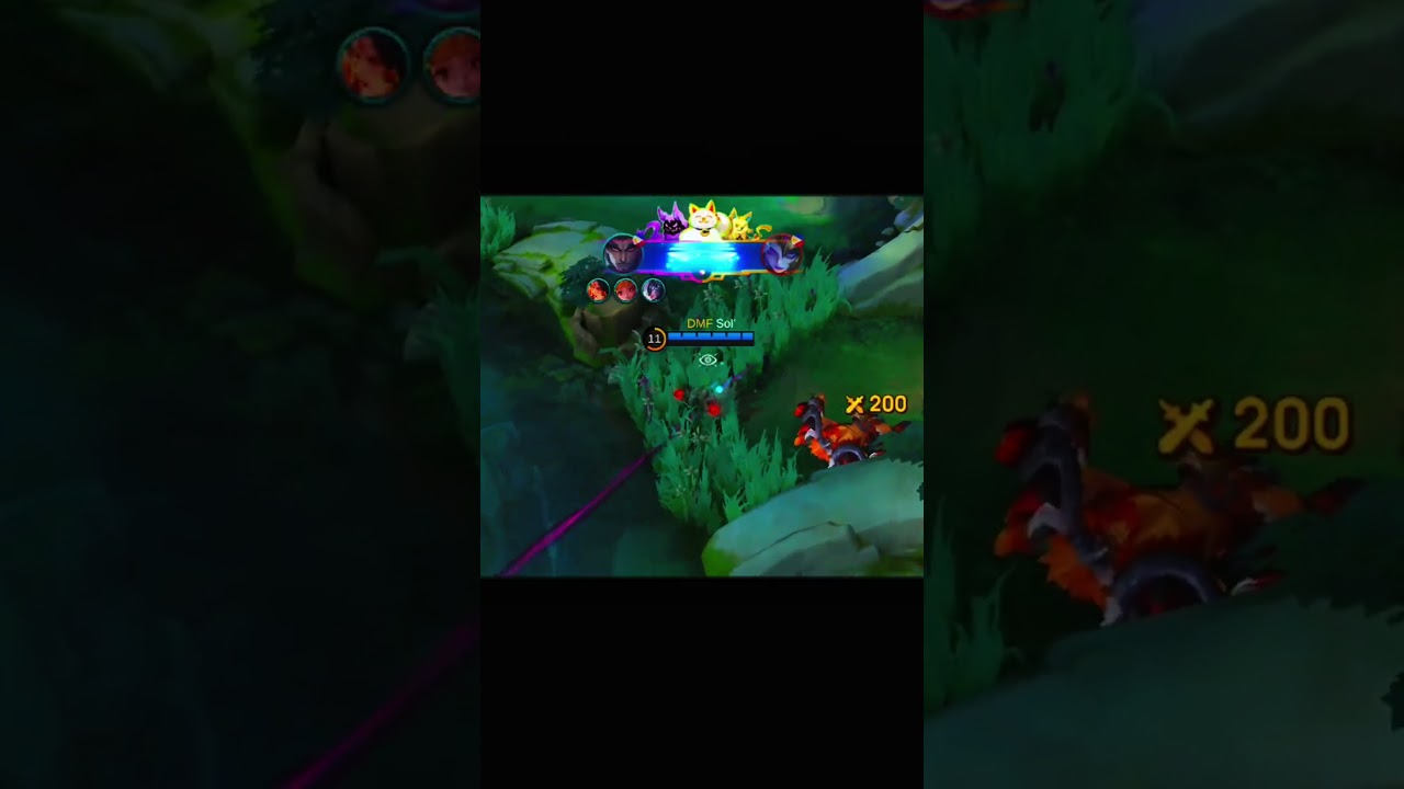 Every Support has that one aggressive fighter 