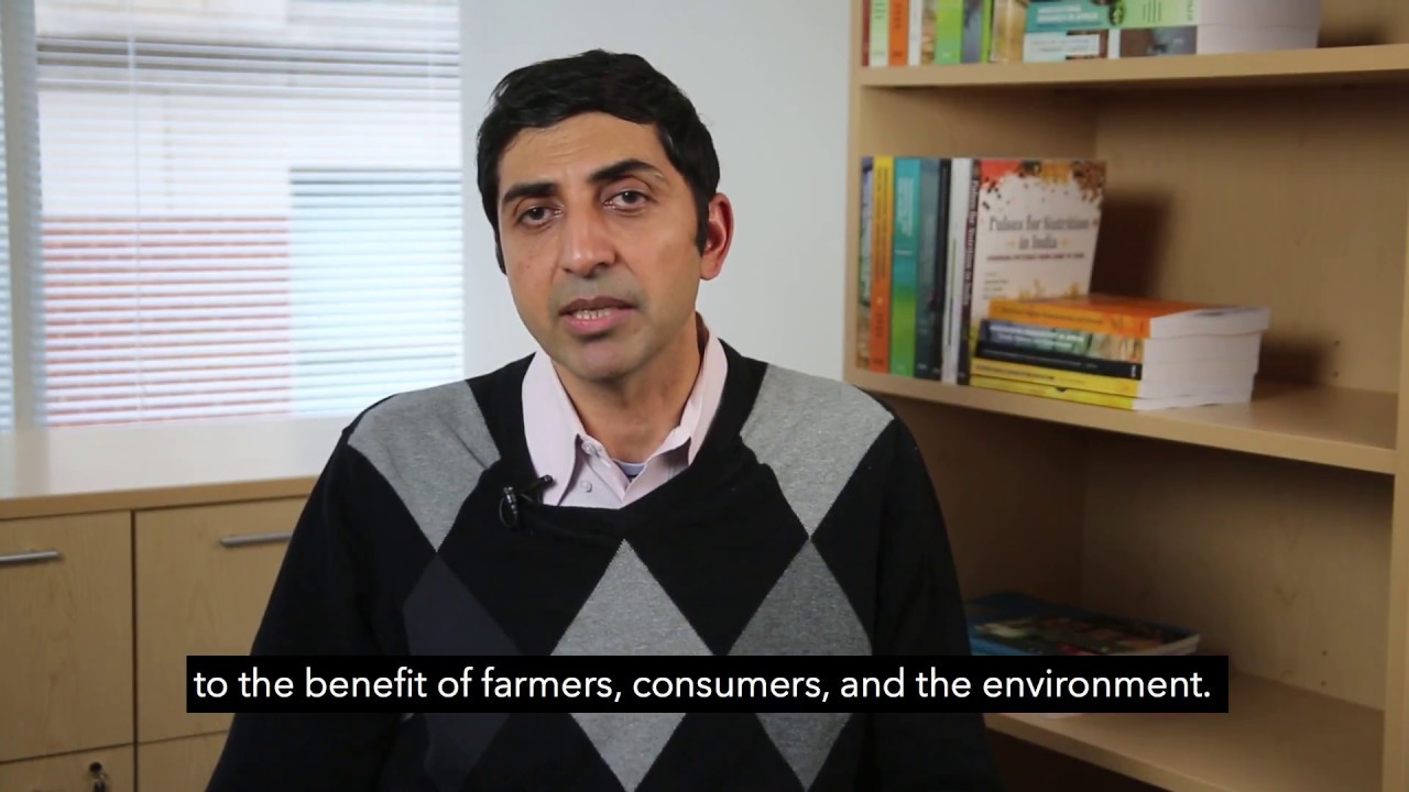 IFPRI&rsquo;s Devesh Roy on India&rsquo;s Pulses Sector
