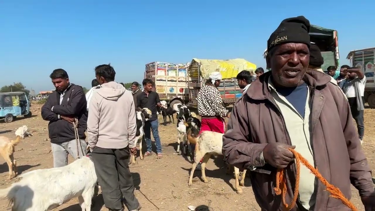 DEWAS BAKRA MANDI 18/12/2025