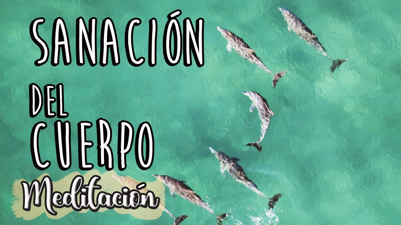 Meditación SANACIÓN DEL CUERPO con delfines 💛Meditación curativa Brian Weiss