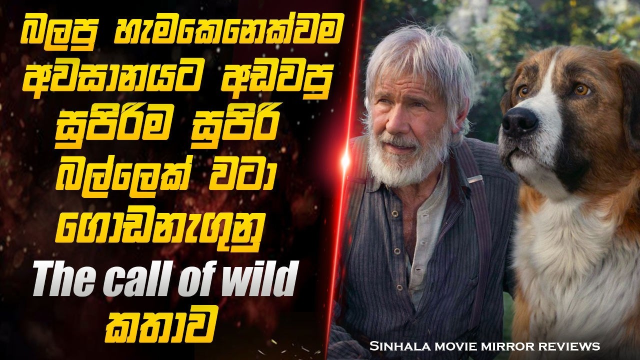 අති සංවේදී the call of the wild චිත්‍රපටියේ සම්පූර්ණ කතාව | Sinhala movie mirror