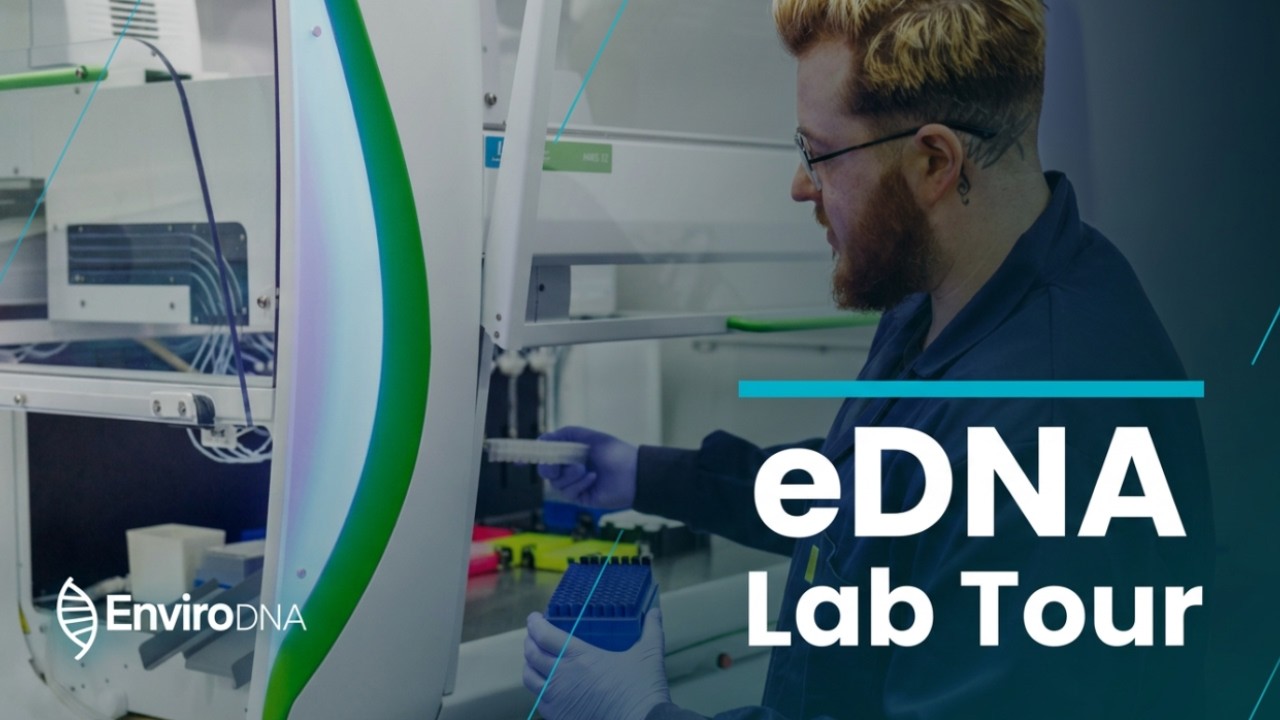 Environmental DNA Laboratory Walkthrough | EnviroDNA