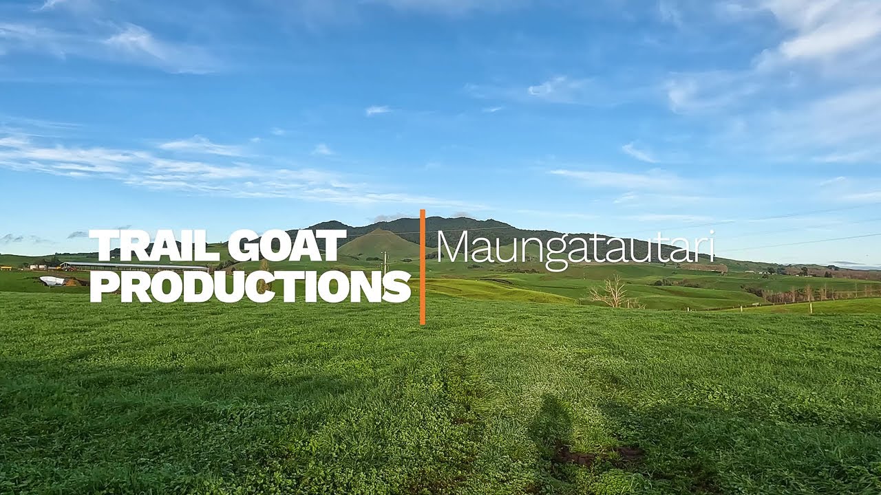 Trail Goat Runs Maungatautari [Sanctuary Mountain]
