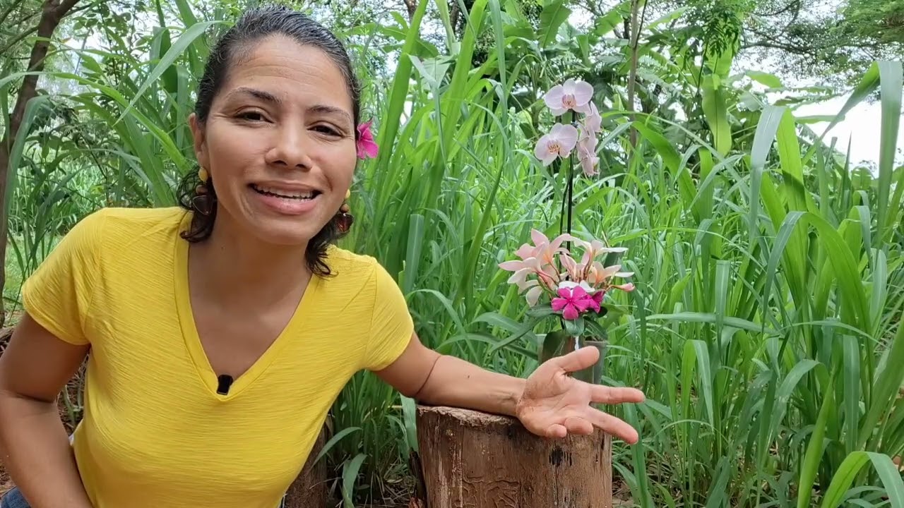 O Dom Escondido dos Nascidos em Fevereiro.
