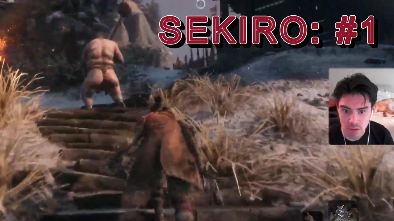 Today, We Learn Sekiro