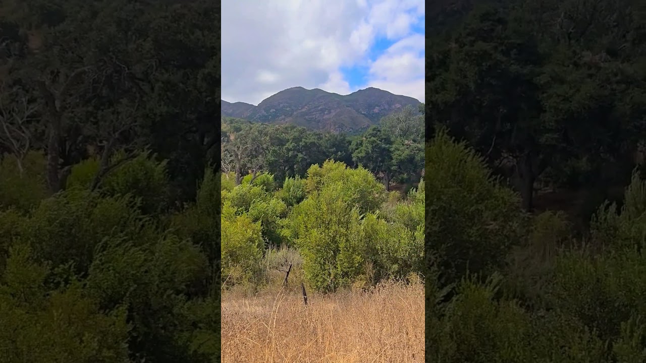 #calabasas