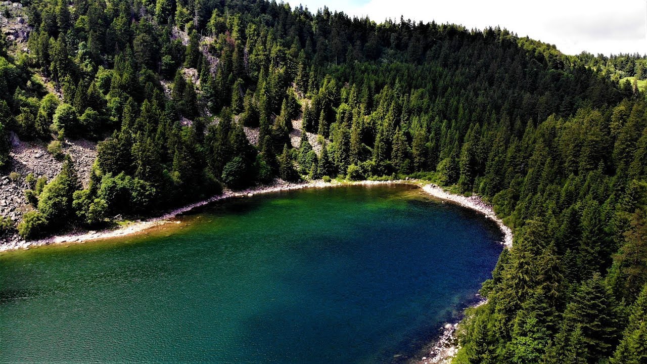 Vosges