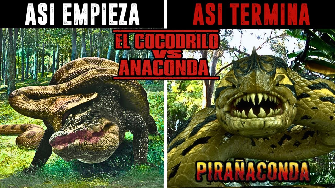 ASI EMPIEZA Y TERMINA COCODRILO VS ANACONDA / PIRAÑACONDA