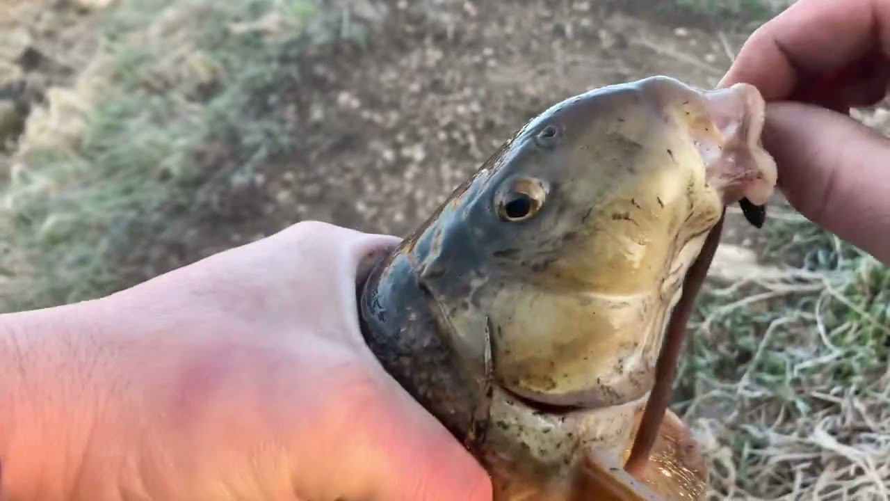 Early Spring Sucker Fishing