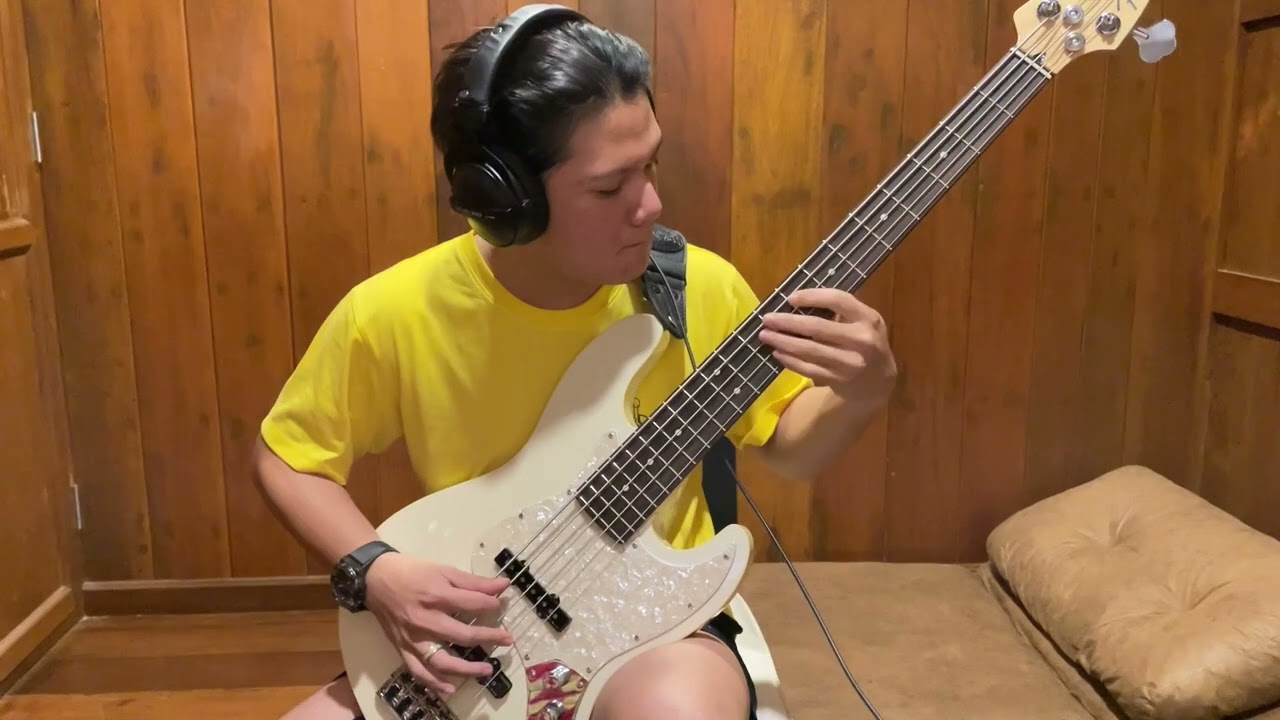 หมดแก้ว - The Parkinson | Bass Cover