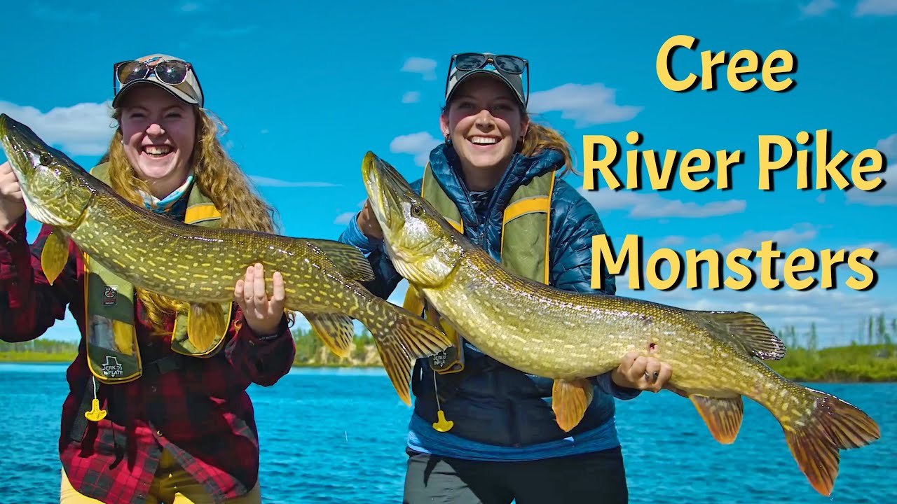 Monster Pike of Cree River