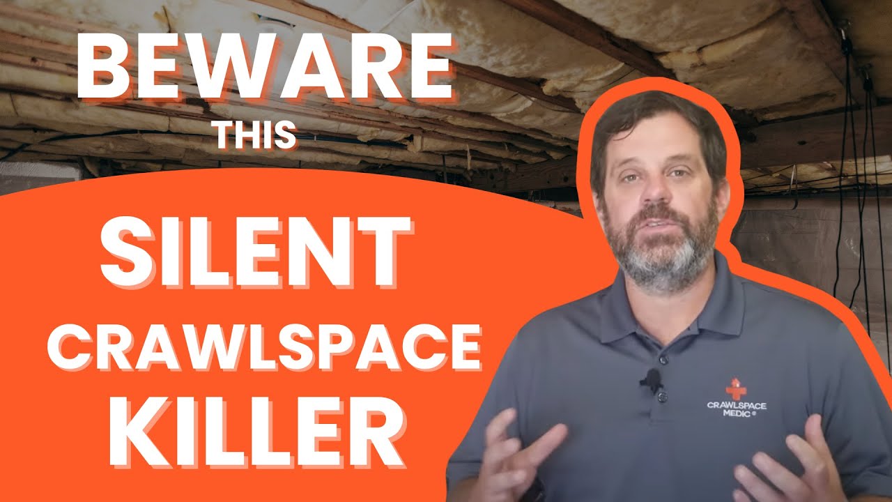 Termite Damage Foundation Repair | Crawlspace Medic
