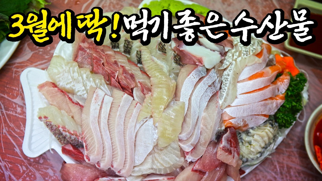 3월에 못 먹으면 시즌 끝나는 인기 수산물 총 정리