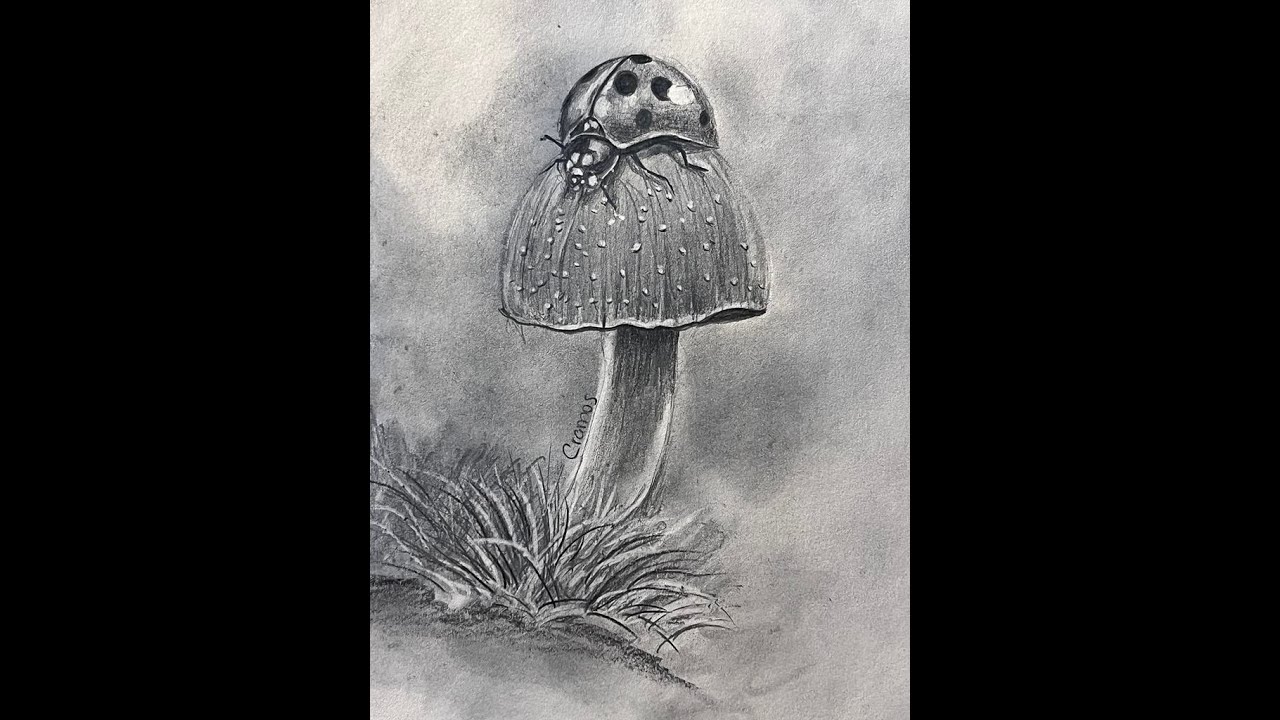 COMO DIBUJAR MARIQUITA SOBRE HONGO