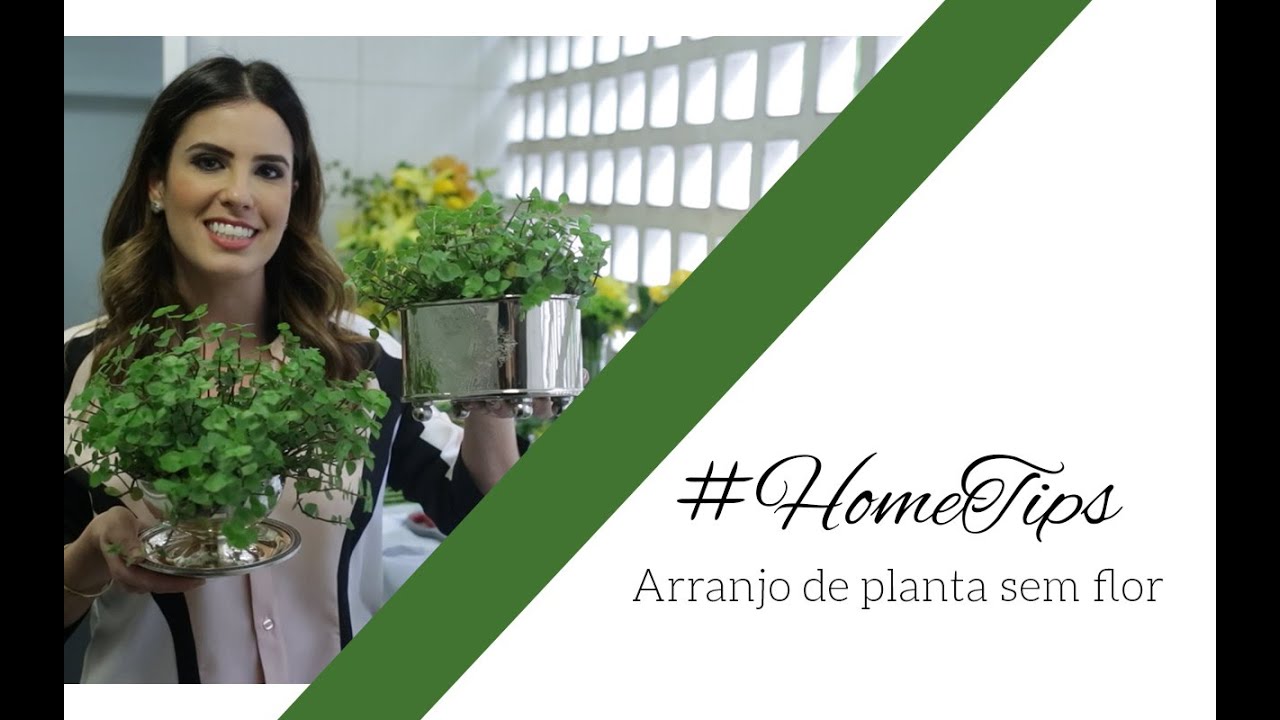 Como Fazer um Arranjo de planta Sem Flor