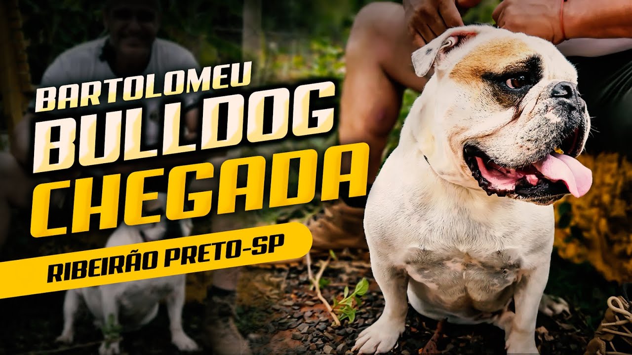 BARTHOLOMEU CHEGOU! O DESAFIO AGORA É OBEDECER