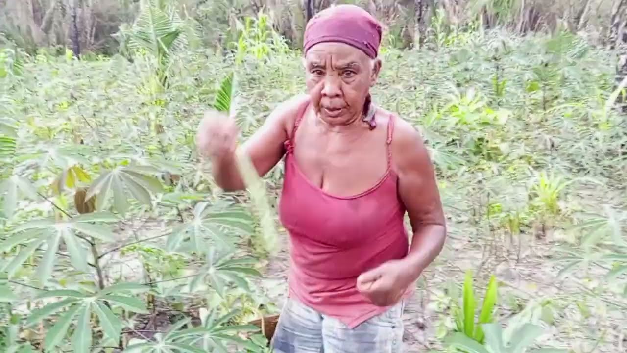Impressionante como ela trabalha na roça 🥹
