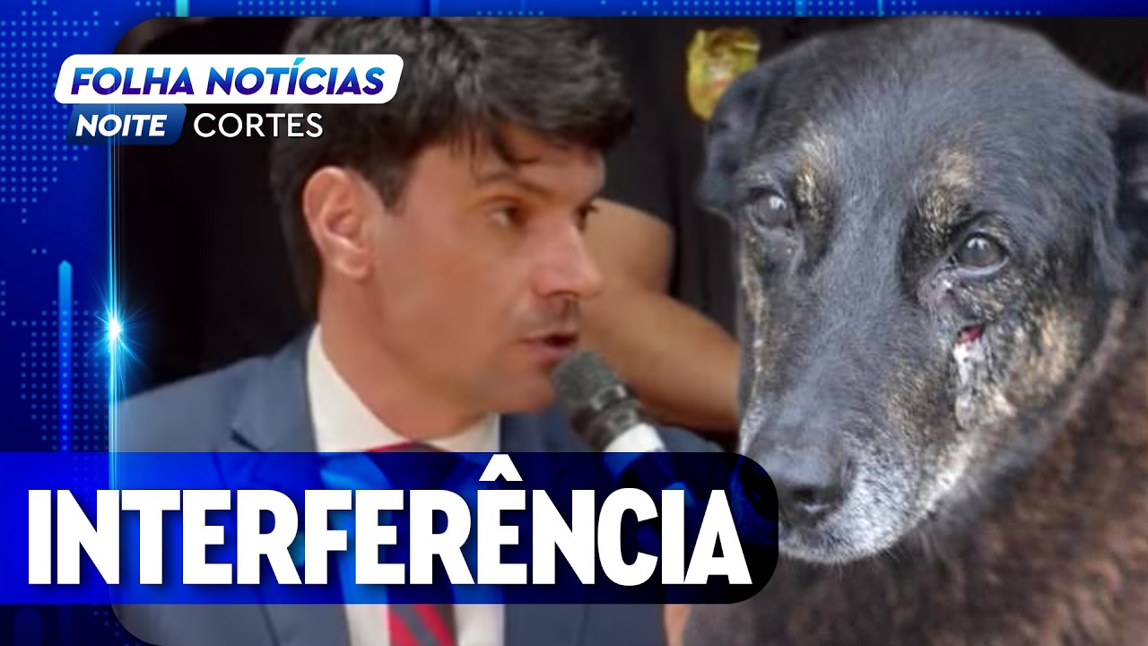 CASO ORELHA: DEPUTADA EXIGE QUE POLÍCIA FEDERAL ASSUMA O CASO por INDÍCIOS DE INTERFERÊNCIA
