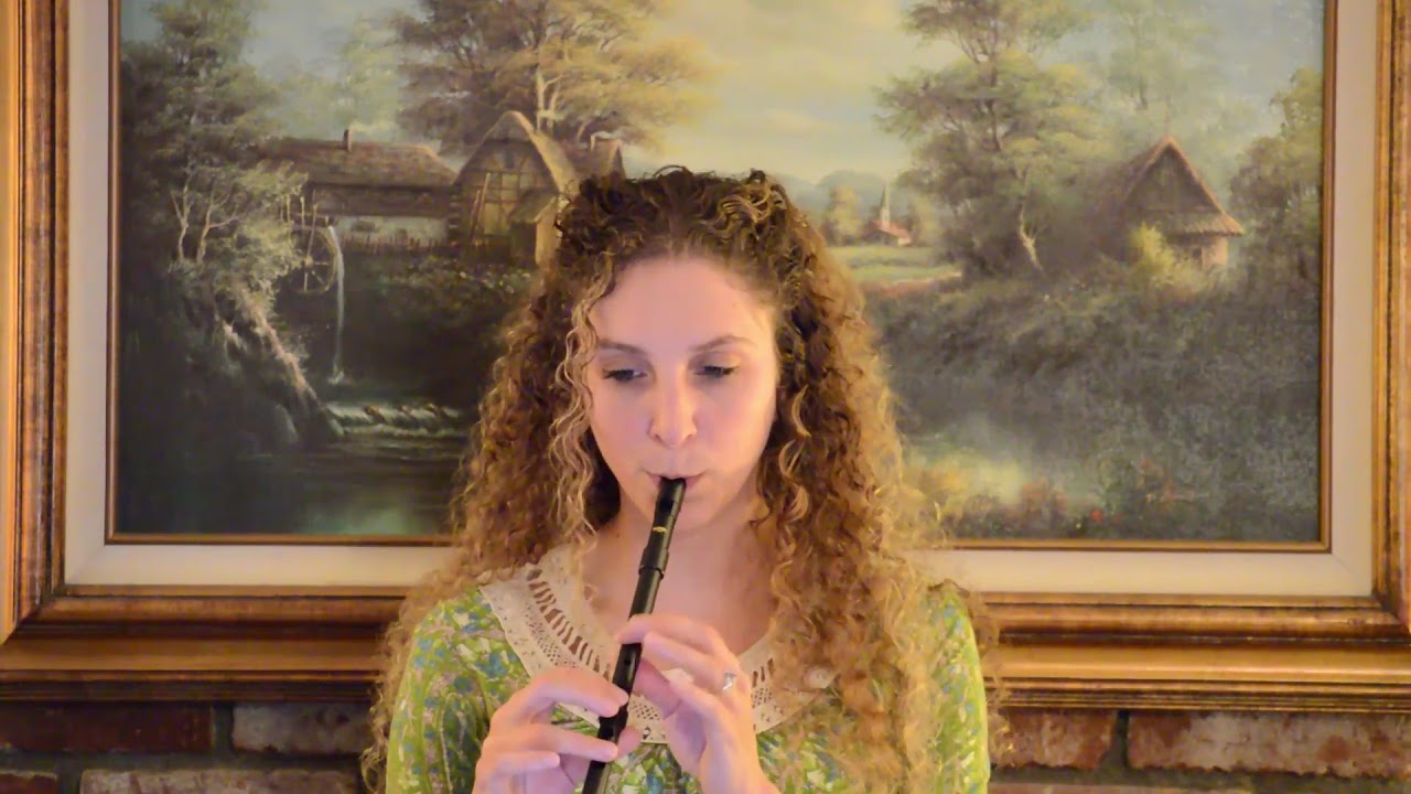 Susato Tin Whistle Demo - Whelan's Jig