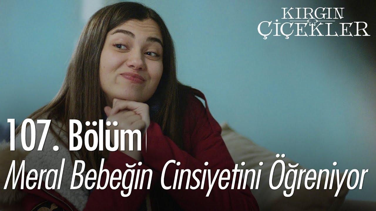 Meral bebeğin cinsiyetini öğreniyor - Kırgın Çiçekler 107. Bölüm