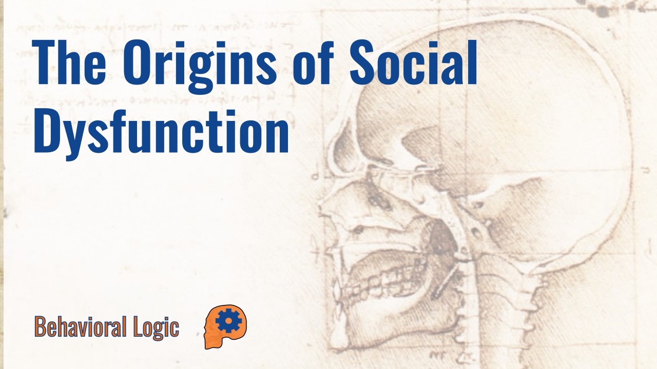 The Sources of Social Dysfunction