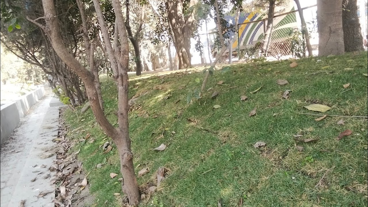 hue hue 🏃‍♀️parama namste 🙏sathi haru