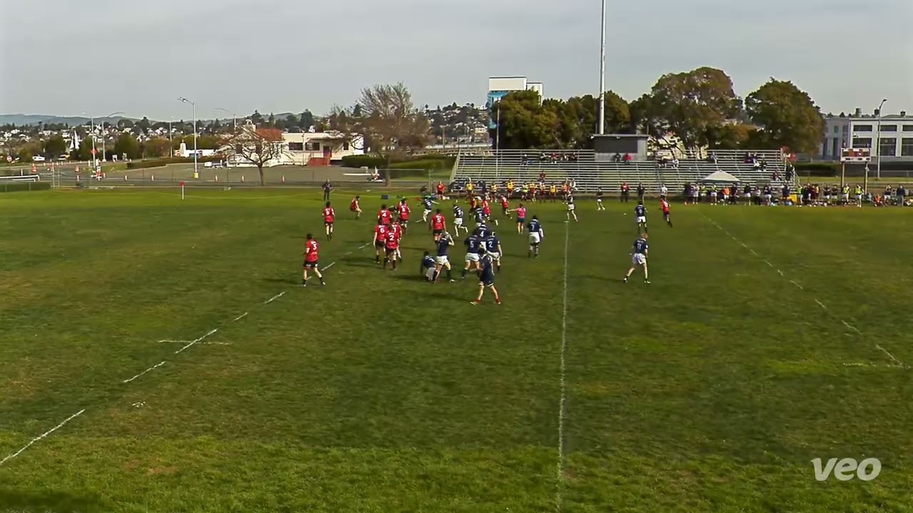 D3 Berkeley Vs Marin
