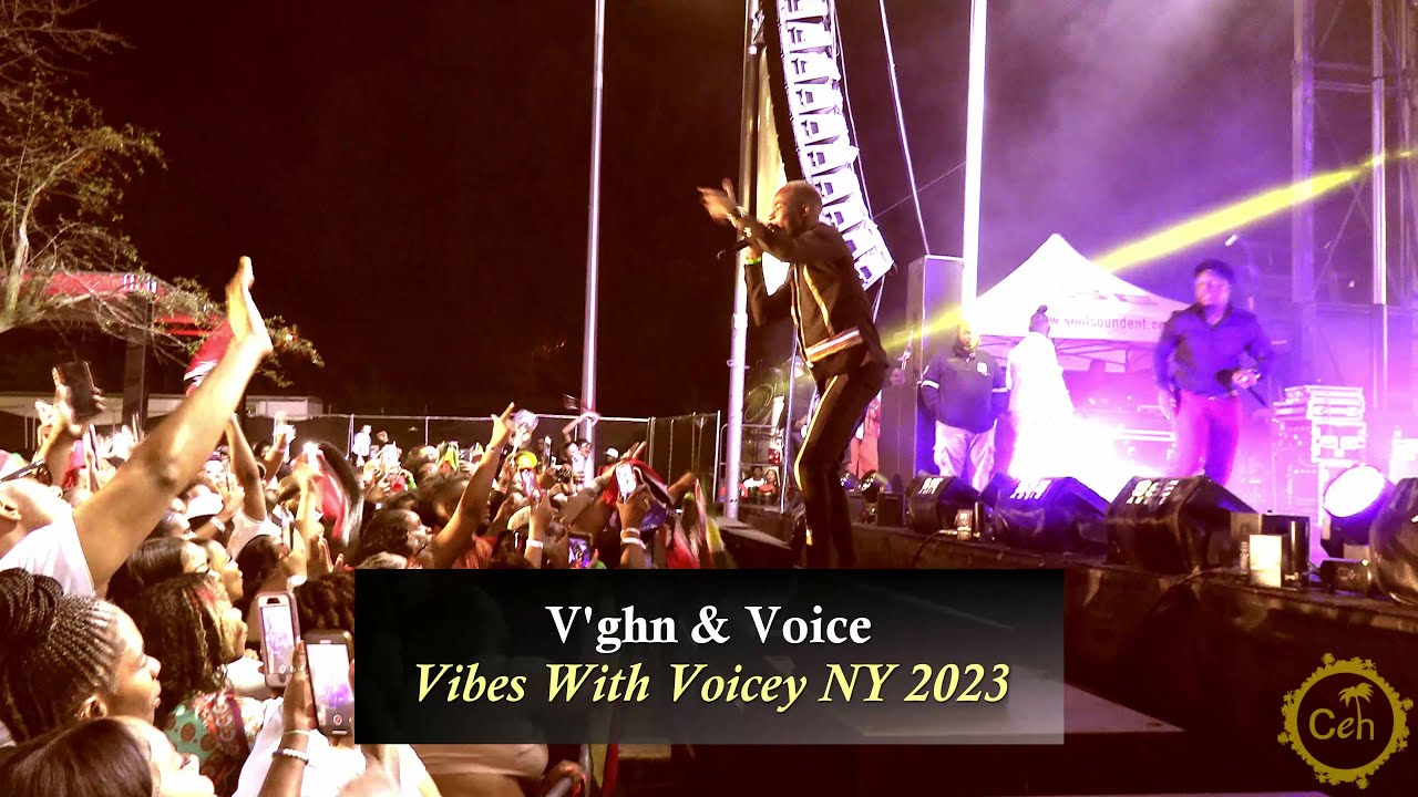 V'ghn & Voice At Vibes With Voicey 2023