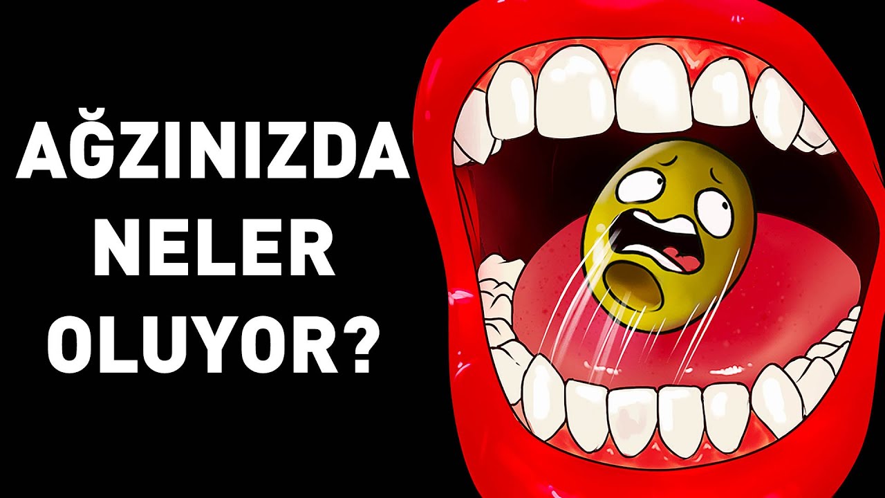 Ağzınızın İçinde Bir Yolculuk