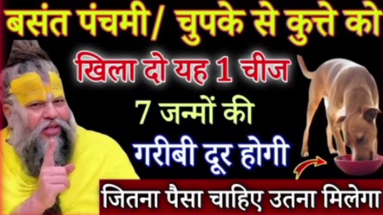 बसंत पंचमी के दिन चुपके से कुत्ते को खिला दो यह 1 छोटी सी चीज, 7 जन्मों की गरीबी दूर होगी/#premanand