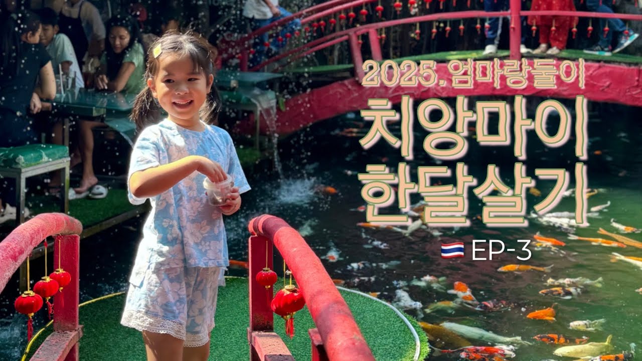 🇹🇭 아이와 치앙마이 한달살기 EP-3. 잉어카페와 원님만 나이트마켓. #chiangmaivlog #치앙마이여행기록 